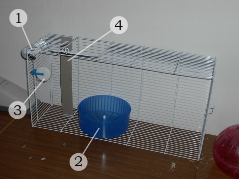 Cage