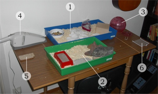 cages with top off