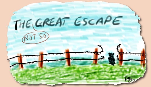 The Not So Great Escape