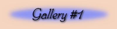 Jane's Photo Galleries
