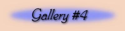 Jane's Photo Galleries