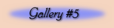 Jane's Photo Galleries