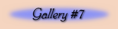 Jane's Photo Galleries