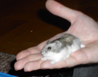 Grenville