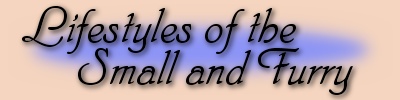 Jane's Biography